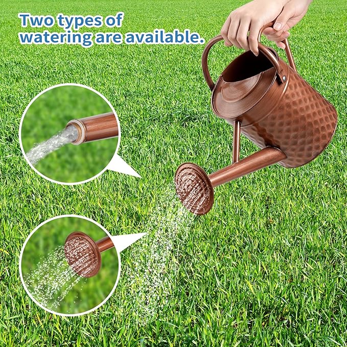1 Gallon Metal Watering Can for Outdoor Indoor Plants, Copper Colored Watering Can with Removable Spray Spout, Ideal for Garden Watering