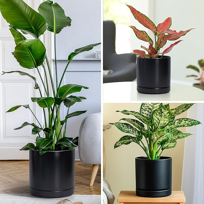 D'vine Dev 6 Inch & 8 Inch & 10 Inch, Set of 3 Round Ceramic Planter Pot with Drainage Hole and Saucer, Black, 94-T-L-2
