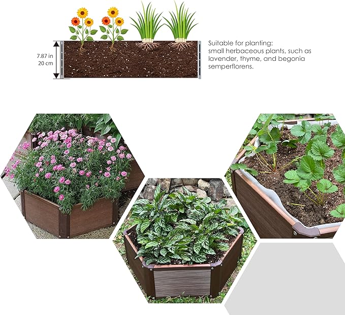 Hexagon Raised Garden Bed Kit, Single Unit, Single Layer, Planter Raised Garden Boxes for Vegetables, Flowers, Herbs and Succulents