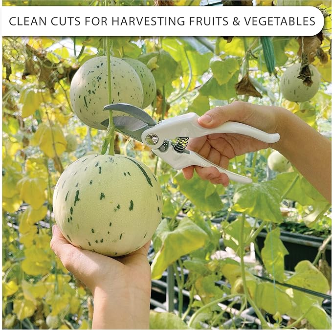 Bypass Pruning Shears Heavy Duty Hand Pruner Garden Trimming Scissors Plant Clippers Tree Trimmers Branch Cutters Modern Garden Tools