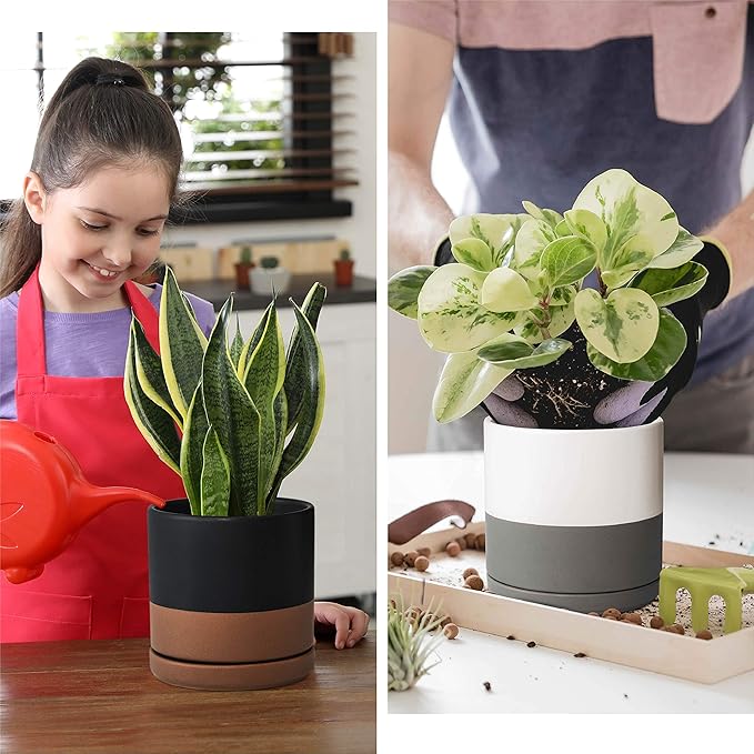 D'vine Dev Set of 2 Plants Pots, 6 Inch Ceramic Planter Pot for Plants with Drainage Hole and Saucer, White-Grey/Black-Tan, 94-V-C-C