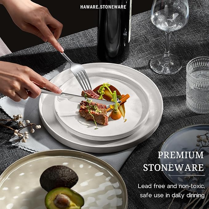 HaWare Dinnerware Sets, 24-Piece Plates and Bowls Set, Stoneware Dish Set for 8, Ceramic Dinnerware for Home Restaurant, Chip and Scratch Resistant, Microwave and Dishwasher Safe, Multicolor