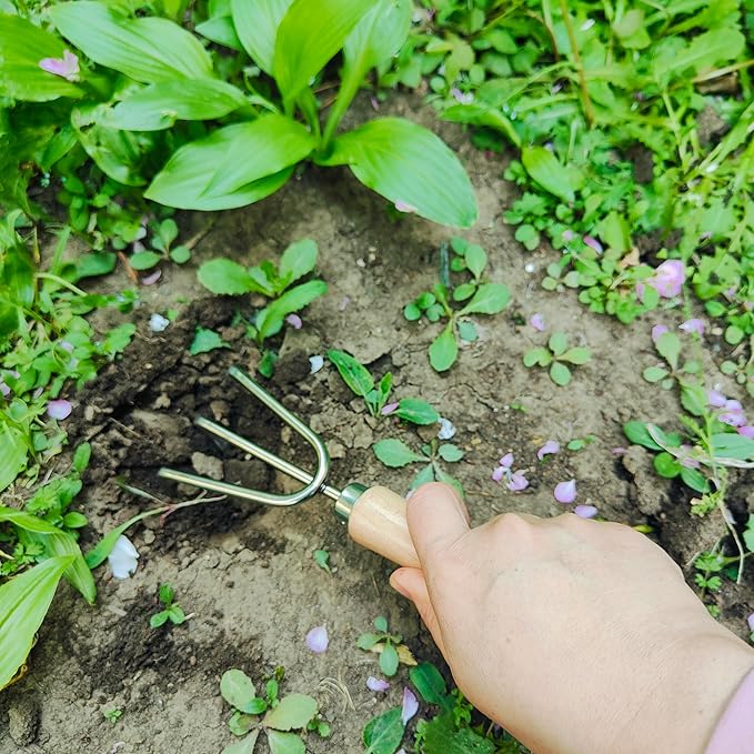 Gardening Tool, Includes Trowels, Rakes, Weeding Tool, and Hand Fork for Digging, Planting, Weeding for(5pcs Garden Tool 02)