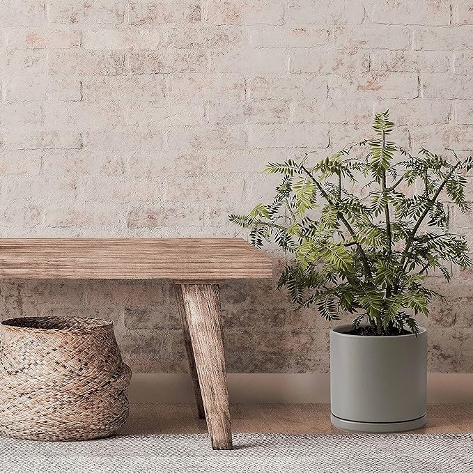 D'vine Dev Set of 2 Plants Pots, 10 Inch Ceramic Planter Pot for Plants with Drainage Hole and Saucer, Speckled Grey, 94-V-E-3